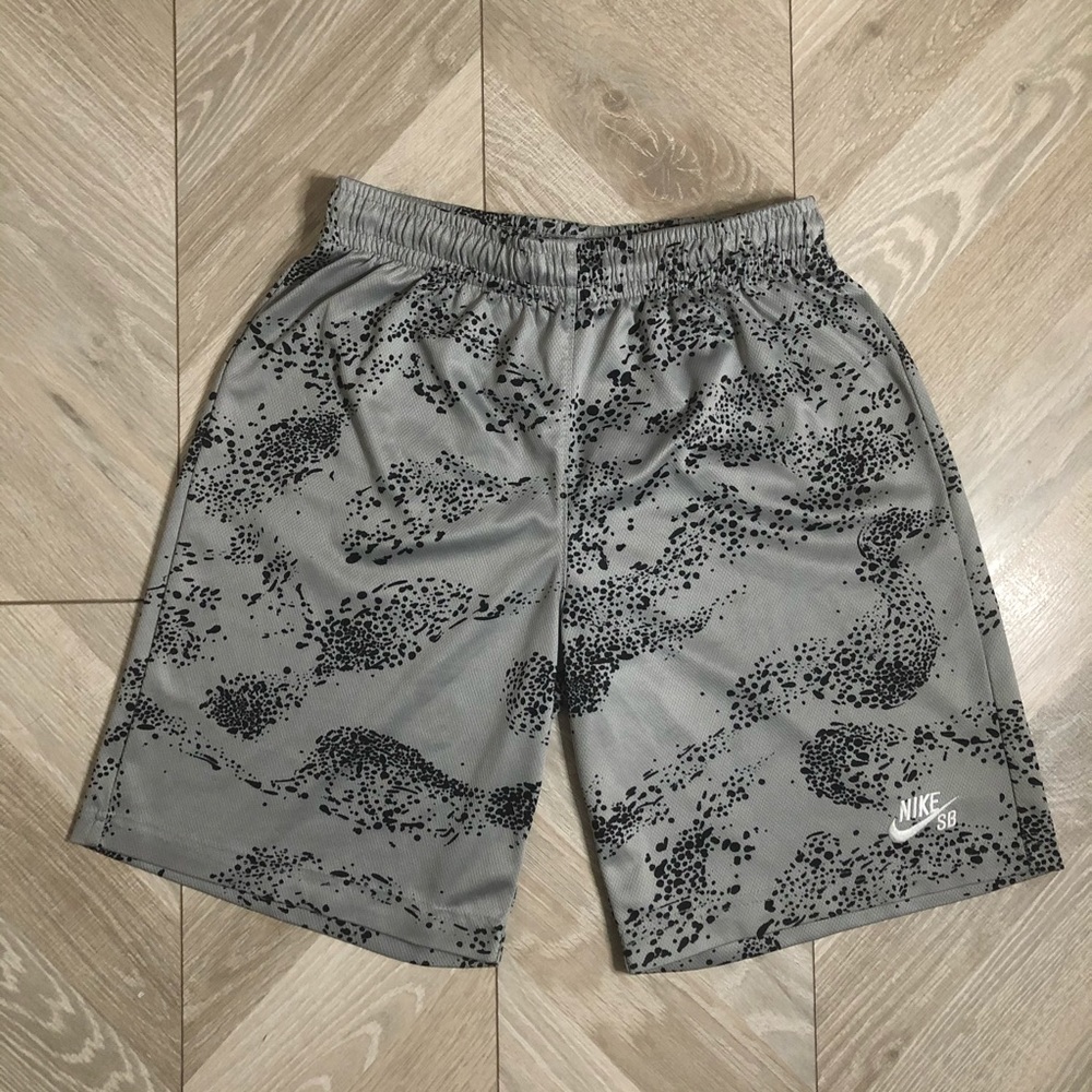 Nike SB Slate Shorts